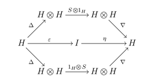 unit and counit in bialgebras