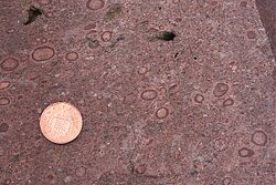 Accretionary Lapilli - geograph.org.uk - 831917.jpg