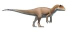Allosaurus fragilis