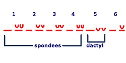 Diagram.
