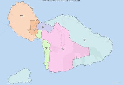 Maui House Final.jpg