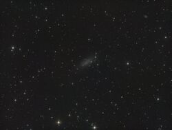 Pegasus Dwarf-DDO216-starhopper.jpg