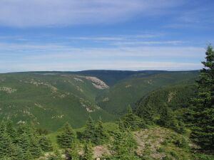 Sommet Parc national des Hautes-Terres-du-Cap-Breton.jpg