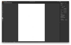 Adobe Illustrator 2019.png