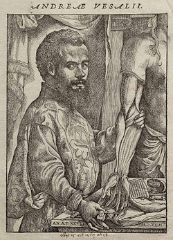 Vesalius Fabrica portrait.jpg