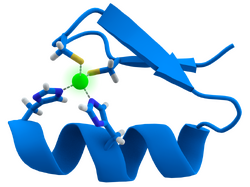 A twisted band, with one side painted blue and another gray. Its two ends are connected through some chemical species to a green atom (zinc).