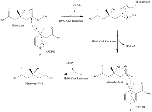 Melavonic Acid Synthesis.gif