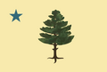 Flag of Maine (1901–1909)