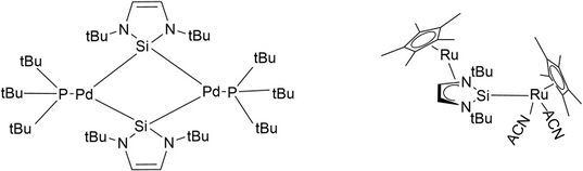 Metal Complexes with NHSis.jpg