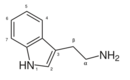 Tryptamine structure.svg