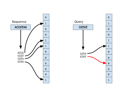 A visualization of querying a bloom filter of k-mers of a DNA sequence.