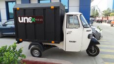 Cargo electric three wheeler