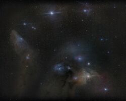 The heart of Scorpius