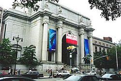 Amnh.jpg