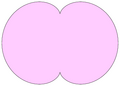 Nephroid