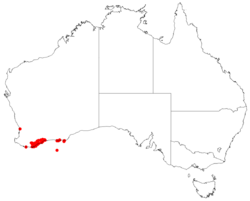 AllocasuarinatrichodonDistributionMap52.png