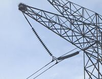 Nest in electrical tower—League City, Texas