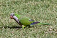 San Juan, Puerto Rico