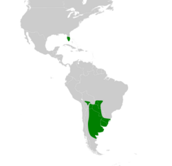 Myiopsitta monachus map.svg