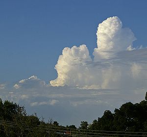 Cumulus congestus cloud.jpg