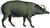 Babiroussa (white background).jpg