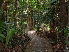 Parque nacional Daintree