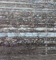 Outcrop of Ordovician kukersite oil shale, northern Estonia
