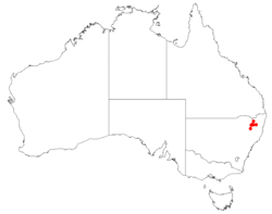 AllocasuarinabrachystachyaDistributionMap5.png