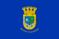 Flag of Valparaíso Region