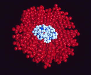 Perflubron and gentamicin molecules.png