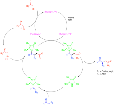 Diagram of Enantioselective Alkylation of Aldehydes via the synergistic combination of organo- and photoredox catalysis