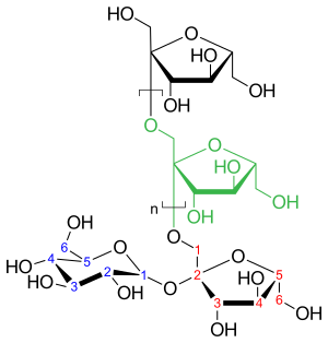 Inulin strukturformel.svg