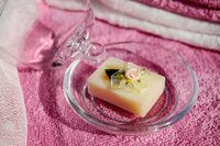 Soap on a dish