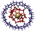 Host–guest complex within another host (cucurbituril)[8]
