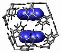 Two pyrene butyric acids bound within a C-hexylpyrogallol[4]arenes nanocapsule. The side chains of the pyrene butyric acids are omitted.[13]
