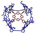 An example of a host–guest chemistry[10]