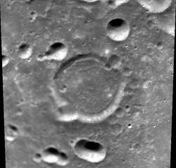 Normal haret-clem1.jpg