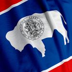 Wyoming State Flag-Close Up.jpg
