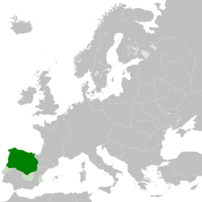 The Kingdom of León (green) in 1095.