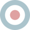 RAF roundel D pale.svg