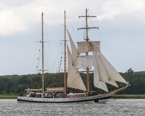 Langerak (Aalborg Kommune).TSR 2019.Pogoria.1.ajb.jpg