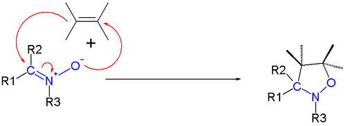 Nitrone cycloadditions