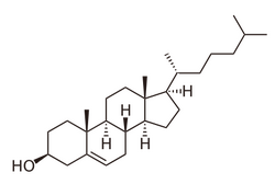 Chemical diagram