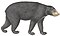 Ursus malayanus - 1700-1880 - Print - Iconographia Zoologica - Special Collections University of Amsterdam - (white background).jpg