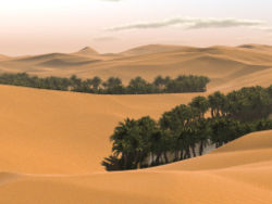 Desert-7.jpg