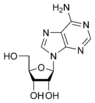 Chemical structure of adenosine