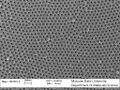 Top view SEM image of AAO porous film obtained in 0.3 M oxalic acid at 40 V