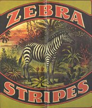 Illustration of a business's "Zebra Stripes" logo