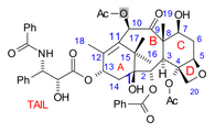 Paclitaxel, a polycyclic natural product with a tricyclic core: with a heterocyclic, 4-membered D ring, fused to further 6- and 8-membered carbocyclic (A/C and B) rings (non-aromatic), and with three further pendant phenyl-rings on its "tail", and attached to C-2 (abbrev. Ph, C6H5; aromatics).