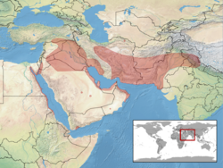 Cyrtopodion scabrum distribution.png